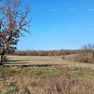 Prodaje se građevinska parcela 1100 m2, Marčana
