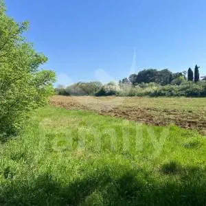 PROSTRANO GRAĐEVINSKO ZEMLJIŠTE ZA INVESTICIJU!