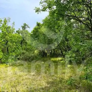 PROSTRANO POLJOPRIVREDNO ZEMLJIŠTE SA ŠUMOM