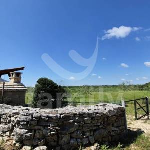 PROSTRANO ZEMLJIŠTE SA MASLINIKOM, VOĆKAMA I  VODOM NA PARCELI