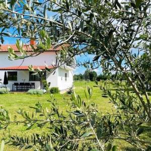 Pula: kuća s dva stana na golemom zemljištu od 4200 m2