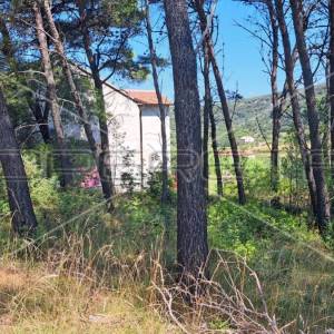 Rab | Građevinsko zemljište okruženo borovom šumom 