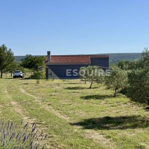 Raštane Gornje, nadomak Biograda na Moru -Kuća s maslinikom na gotovo 4.000 m²!!