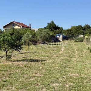 Raštane Gornje, nadomak Biograda na Moru -Kuća s maslinikom na gotovo 4.000 m²!!