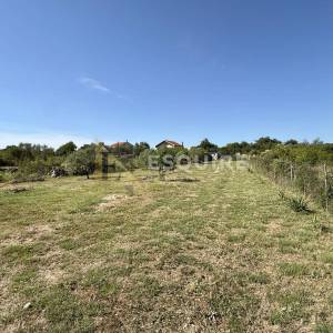Raštane Gornje, nadomak Biograda na Moru -Kuća s maslinikom na gotovo 4.000 m²!!