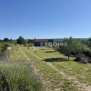 Raštane Gornje, nadomak Biograda na Moru -Kuća s maslinikom na gotovo 4.000 m²!!