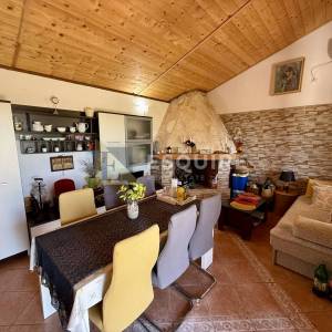 Raštane Gornje, nadomak Biograda na Moru -Kuća s maslinikom na gotovo 4.000 m²!!