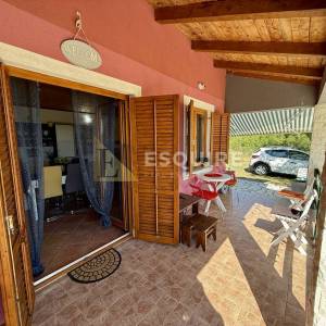 Raštane Gornje, nadomak Biograda na Moru -Kuća s maslinikom na gotovo 4.000 m²!!
