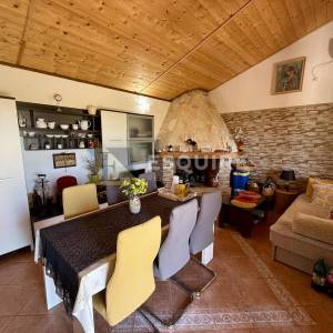 Raštane Gornje, nadomak Biograda na Moru -Kuća s maslinikom na gotovo 4.000 m²!!