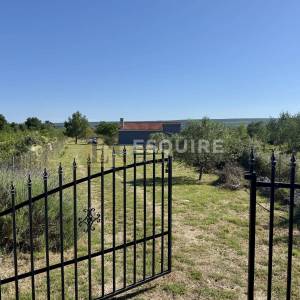 Raštane Gornje, nadomak Biograda na Moru -Kuća s maslinikom na gotovo 4.000 m²!!