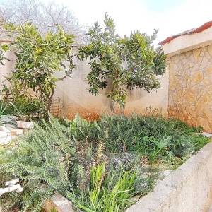 RENOVIRANA KUĆA U  PRIGRADSKOM NASELJU PULE