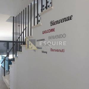 ROVANJSKA - Vila katnica s bazenom i velikim vrtom u blizini mora - 270m2