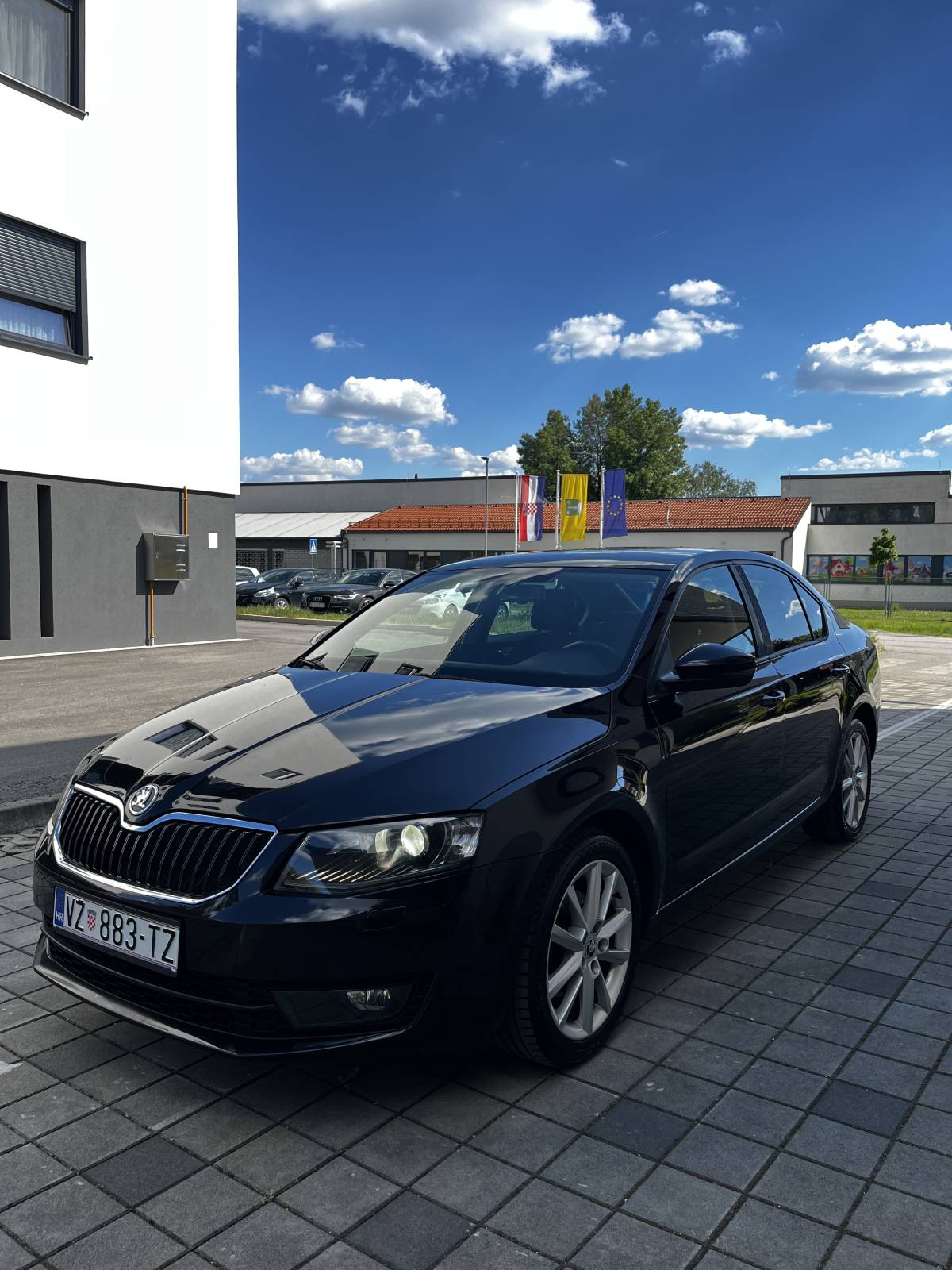 Škoda Octavia 2.0 TDI | Redovno servisiran DSG | Nove gume | HR auto