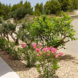 SPLIT - PODSTRANA Vila Olea - 618m2