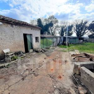 STARINA NA PROSTRANOM GRAĐEVINSKOM ZEMLJIŠTU