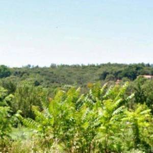 Štinjan – građevinsko zemljište 493 m²