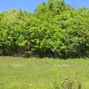 TINAJN - Građevinsko zemljište 4.168 m²