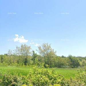 TINJAN – Građevinsko zemljište 898 m² s građevinskom dozvolom i plaćenim doprinosima!
