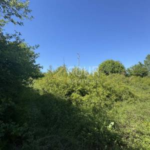 Vrbovsko - Gomirje, zemljište od 2.294m2, građevinsko+poljoprivredno