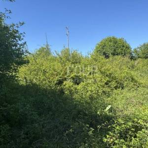 Vrbovsko - Gomirje, zemljište od 2.294m2, građevinsko+poljoprivredno