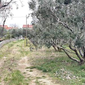 VRSI - Građevinsko zemljište - 1711m2