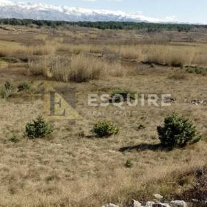 VRSI Poljoprivredno zemljište - 2.551m2