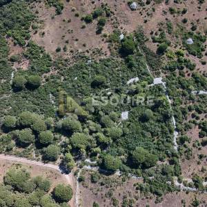 ZADAR - CERODOL Zemljište od 4.600m2