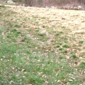 ZANIMLJIVO GRAĐEVINSKO ZEMLJIŠTE U SREDIŠTU ISTRE SA POGLEDOM NA UČKU