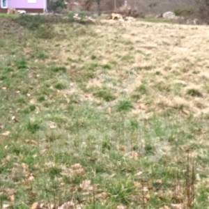 ZANIMLJIVO GRAĐEVINSKO ZEMLJIŠTE U SREDIŠTU ISTRE SA POGLEDOM NA UČKU