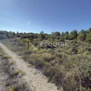 ZATON - ŠEPURINE - Građevinsko zemljište na atraktivnoj lokaciji - 1231m2