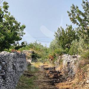 ZEMLJIŠTE  NA MIRNOJ LOKACIJI OKRUŽENO MASLINICIMA