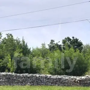 ZEMLJIŠTE  NA MIRNOJ LOKACIJI OKRUŽENO MASLINICIMA