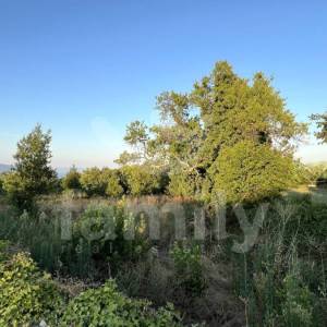 ZEMLJIŠTE SA POGLEDOM NA MORE I ISHODOVANOM GRAĐEVINSKOM DOZVOLOM