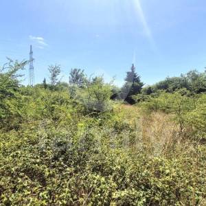 ZEMLJIŠTE SA PRISTUPNIM PUTEM OKRUŽENO ZELENILOM NA MIRNOJ LOKACIJI