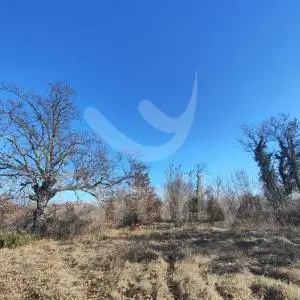 ZEMLJIŠTE  U MIRNOM OKRUŽENJU