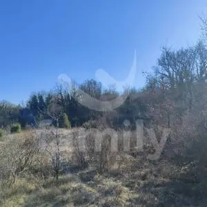 ZEMLJIŠTE - VINOGRAD