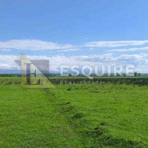 ZEMUNIK - Poljoprivredno zemljište površine 7.512m2!