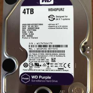 4TB HDD Western Digital Purple