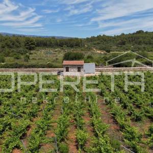 Atraktivno poljoprivredno zemljište s vinogradom na Hvaru