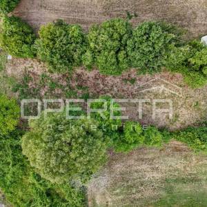 BARBAN-GOČAN