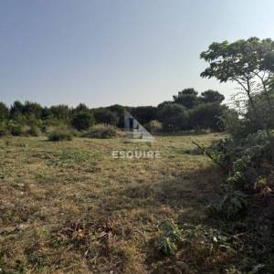 CRNO - Građevinski teren s gotovim projektom obiteljske kuće - 750m2
