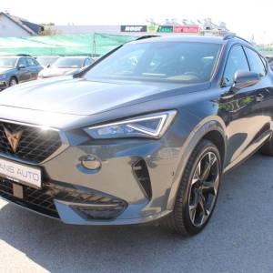 Cupra Formentor 2.0 TSi VZ DSG *LED, KAMERA*