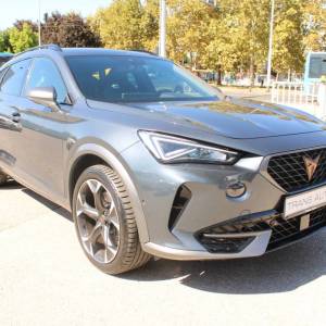 Cupra Formentor 2.0 TSi VZ DSG *LED, KAMERA*