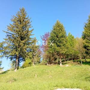 DELNICE, FUŽINE - Građevinsko zemljište 823m2 na parceli 2900m2