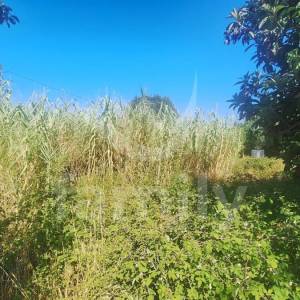 EKSKLUZIVNA PRODAJA GRAĐEVINSKA ZEMLJIŠTA PEROJ U BLIZINI MORA