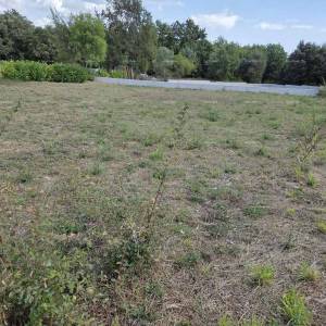 GRAĐEVINSKO ZEMLJIŠTE 1.550 m² – PAVIĆINI, DUGA UVALA