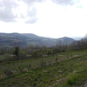 GRAĐEVINSKO ZEMLJIŠTE S PANORAMSKIM POGLEDOM NA MOTOVUN – 3.059 m²