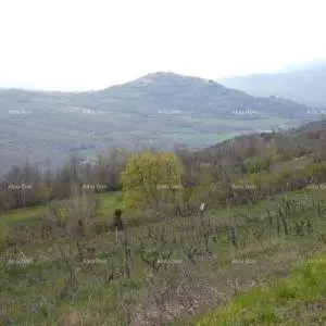 GRAĐEVINSKO ZEMLJIŠTE S PANORAMSKIM POGLEDOM NA MOTOVUN – 3.059 m²