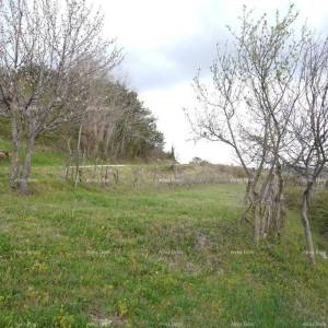 GRAĐEVINSKO ZEMLJIŠTE S PANORAMSKIM POGLEDOM NA MOTOVUN – 3.059 m²