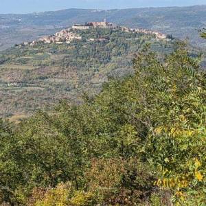 GRAĐEVINSKO ZEMLJIŠTE S PANORAMSKIM POGLEDOM NA MOTOVUN – 3.059 m²
